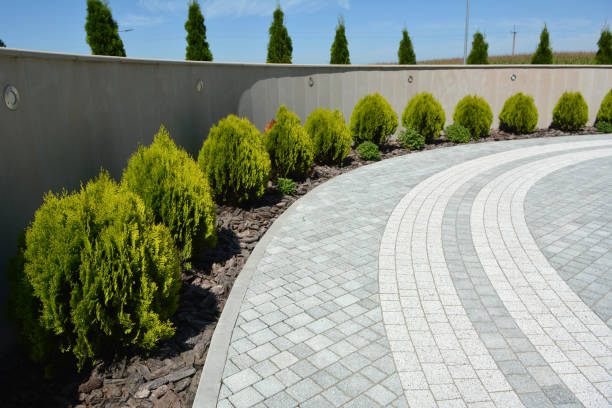 Reasons to Select Us for Your Driveway Paving Requirements in Ashland, NJ